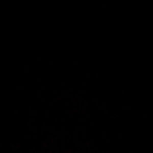 Meet your Posher, Cecilia